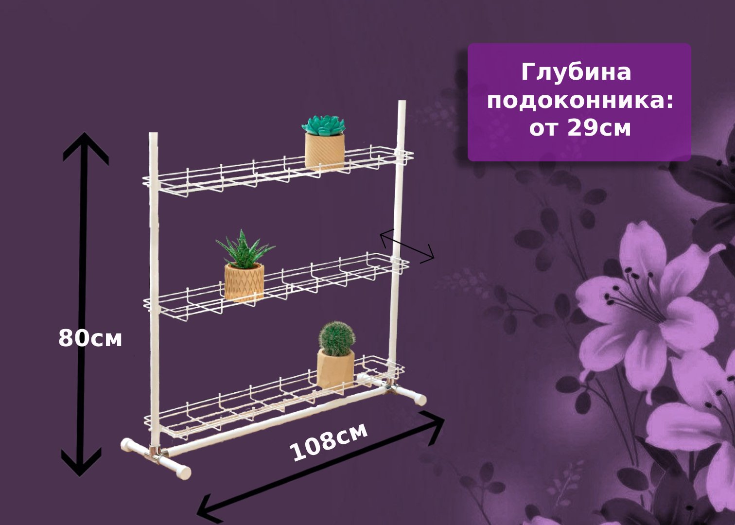 Кедр-мини на ножках . Фото N9