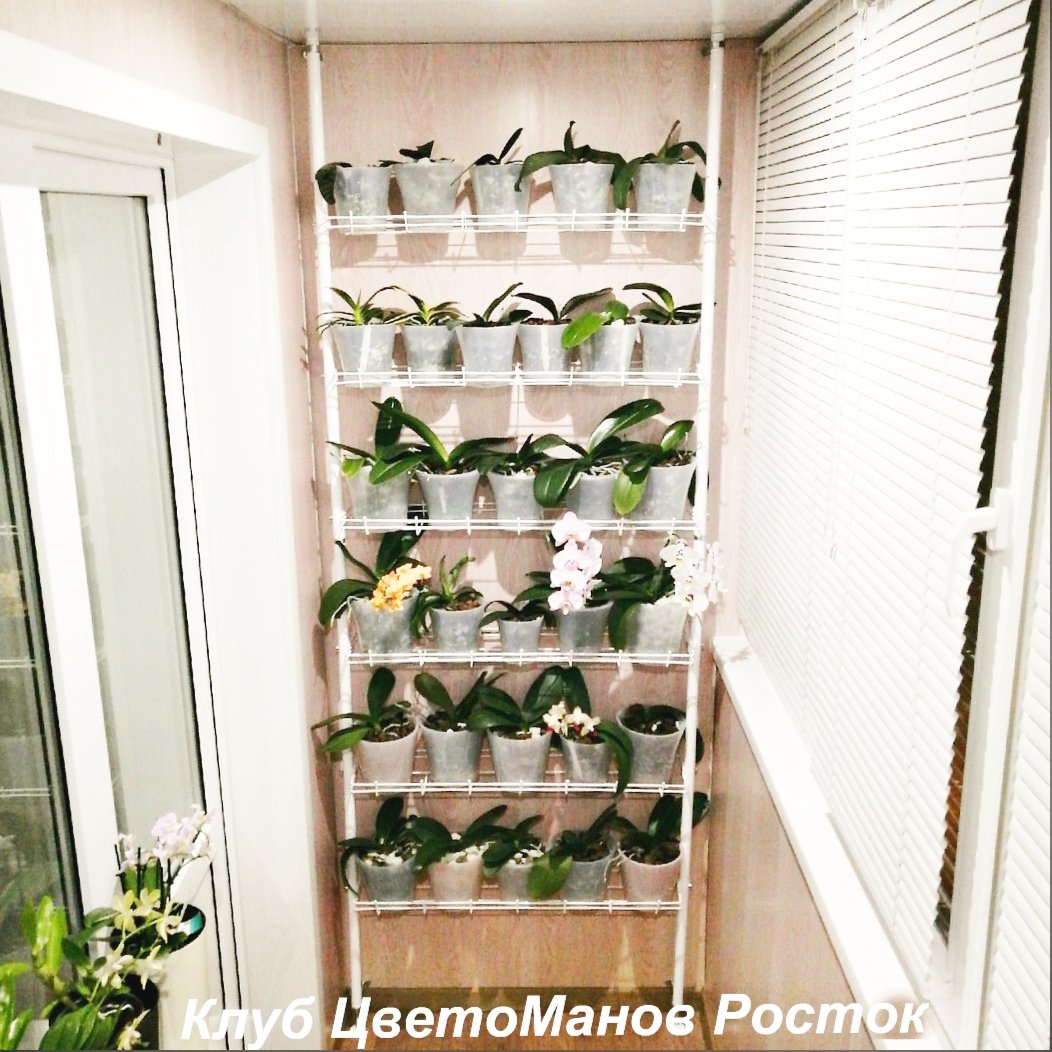 напольный металлический распорный стеллаж для цветов. Фото N7